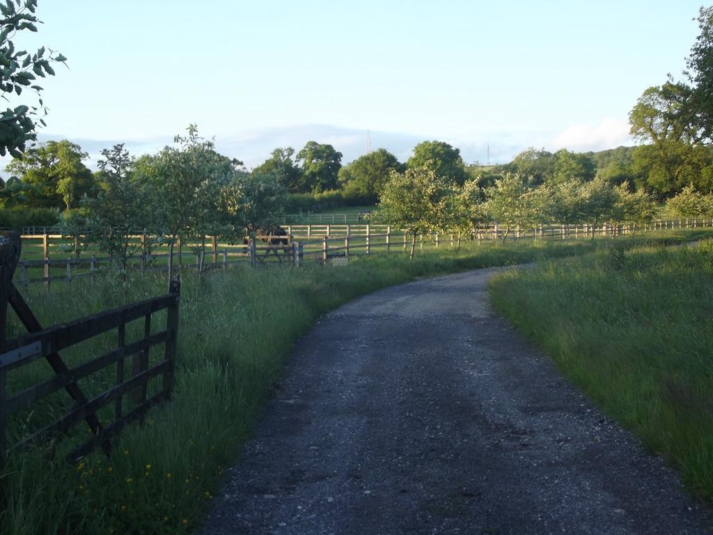 Pleck Barn B&B Ansty  Экстерьер фото