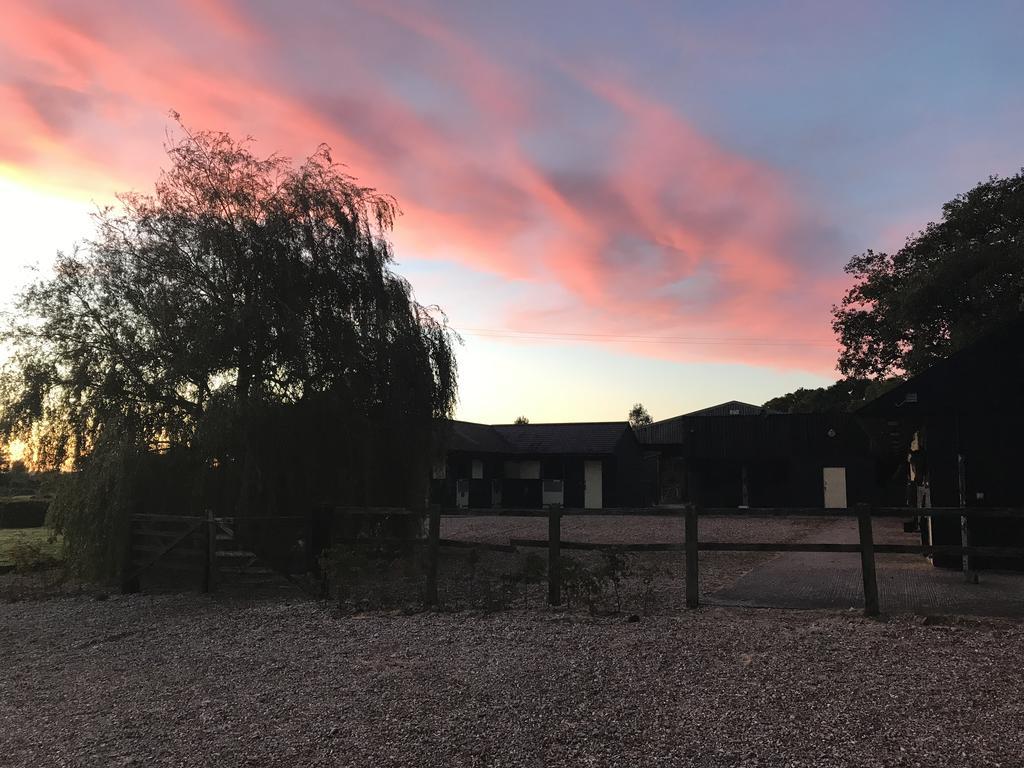 Pleck Barn B&B Ansty  Экстерьер фото
